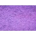 thumbnail image 1 of Ahgly Tapis Rectangulaire Lavable en Machine Intérieur Transitionnel Heliotrope Violet, 2 Pieds x 4 Pieds, 1 of 7