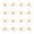 thumbnail image 1 of 100pcs Artificial Daisy Plastic Daisy Artificial Daisy Flowers Heads Daisy Party Decorations, 1 of 7