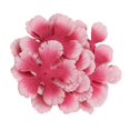 thumbnail image 2 of Abbracc Simulation Petals Pink and Red, 2 of 7