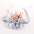 thumbnail image 1 of Pet Cute Princess Crown Hat for Dog and Cat Birthday Costumes and Photo Prop, 1 of 6