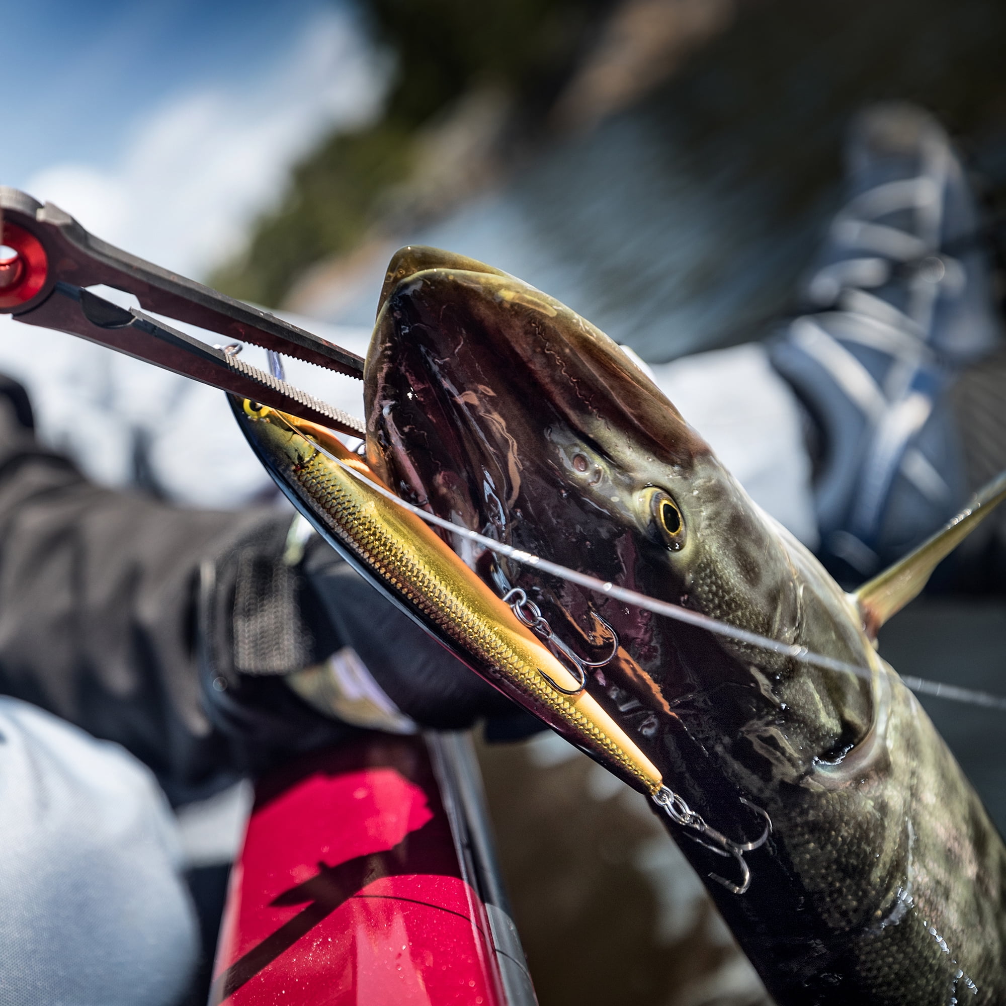 Rapala Husky Jerk 10 cm, leurre dur Argent Bleu