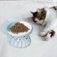 thumbnail image 4 of Cat owl with Metal Raised Stand Neck Protector Cat Bowl Dog Blue, 4 of 8