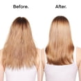 thumbnail image 2 of L'Oreal Professionnel Absolut Repair Hair Mask 250 ml., 2 of 2