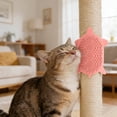 thumbnail image 3 of Svmmer Turtle Shaped Cat Comb Wall Mounted Cat Scratching Board & Self Grooming Device, 3 of 5