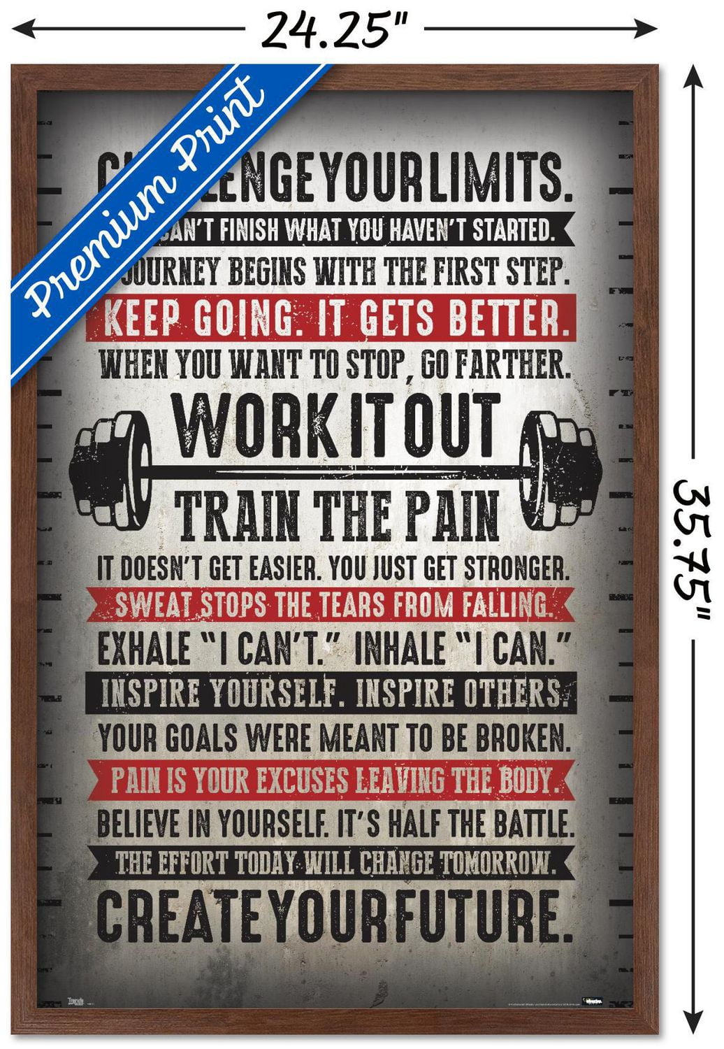 Challenge Your Limits Wall Poster
