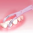 thumbnail image 4 of Set of 2 reusable dental floss holders (pink + blue), 4 of 5