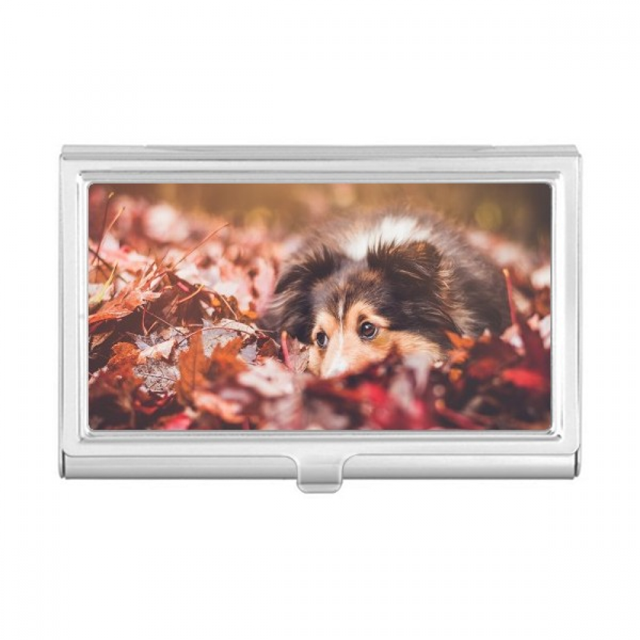 Étui Porte-Cartes d'Affaires pour Photo d'Animal de Compagnie Chien, Boîte de Poche, Portefeuille
