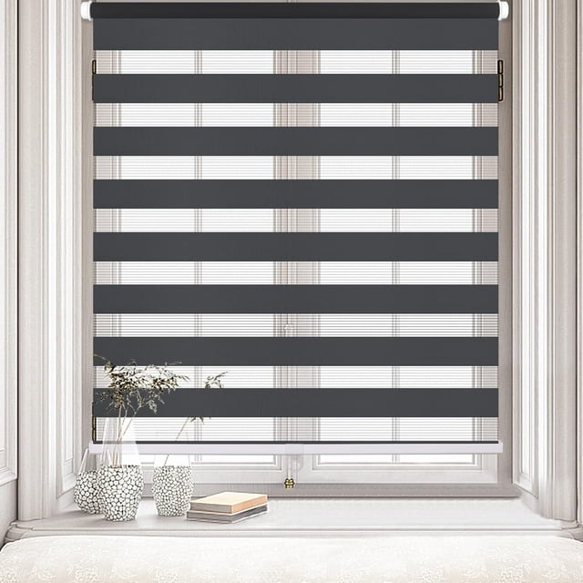 LUCKUP Cordless Zebra Blinds Roller shades for window Day and Night Blind Dual Layer Light Filtering Shade Light Control Room Darkening Horizontal Window Treatment 27" W X 72" H, Dark Grey