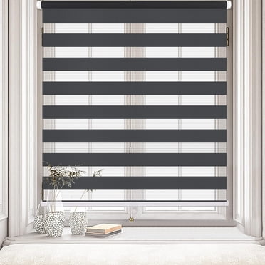 LUCKUP Cordless Zebra Blinds Roller shades for window Day and Night Blind Dual Layer Light Filtering Shade Light Control Room Darkening Horizontal Window Treatment 22" W X 72" H, Dark Grey