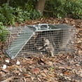 thumbnail image 3 of Havahart Easy Set Large 1-Door Animal Trap, 3 of 3