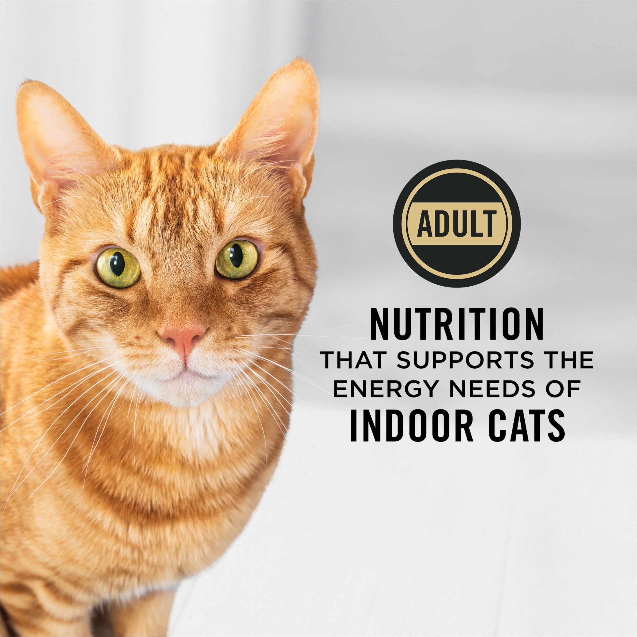 Purina Pro Plan Formule Dinde & Riz pour Chats d'Intérieur contre les Boules de Poils, Nourriture Sèche pour Chats 7.26kg