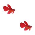 thumbnail image 3 of Thinsony Beautifully Crafted Luminous Artificial Simulation Goldfish For Aquariums Tan red 2Set, 3 of 6
