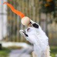 thumbnail image 3 of 5pcs Interactive Cat Worm Ball with Bell Funny Wobbly Balls Cat Bell Toy Colourful Kitty Toy, 3 of 6