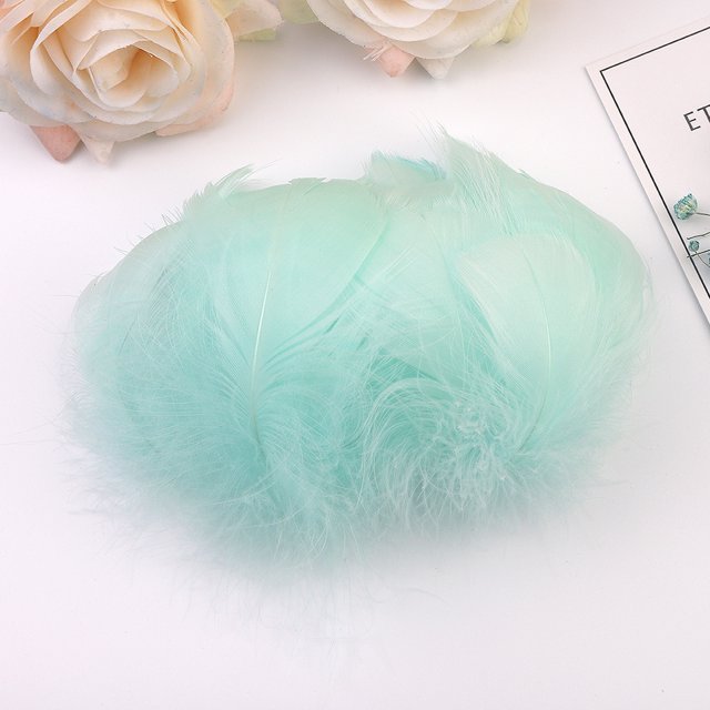 EGNMCR Dreamcatcher 100pc Colorful Feathers 6-12 Cm In Small Feather DIY Decoration The simulation feathers