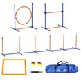 thumbnail image 1 of PawHut 4 Pcs Dog Agility Training Equipment w/ Adjustable Hurdle Jump Ring, 1 of 10