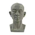 thumbnail image 1 of Planar Head Model For Artists Learn Planes of Face Human Head Model GT X1 Hot C9 Z8C1, 1 of 1