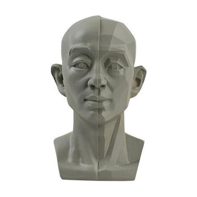 Planar Head Model For Artists Learn Planes of Face Human Head Model GT X1 Hot C9 Z8C1