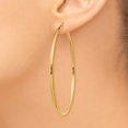thumbnail image 3 of Boucles d'Oreilles Créoles Rondes Polies 10k 2mm 10T923, 3 of 4