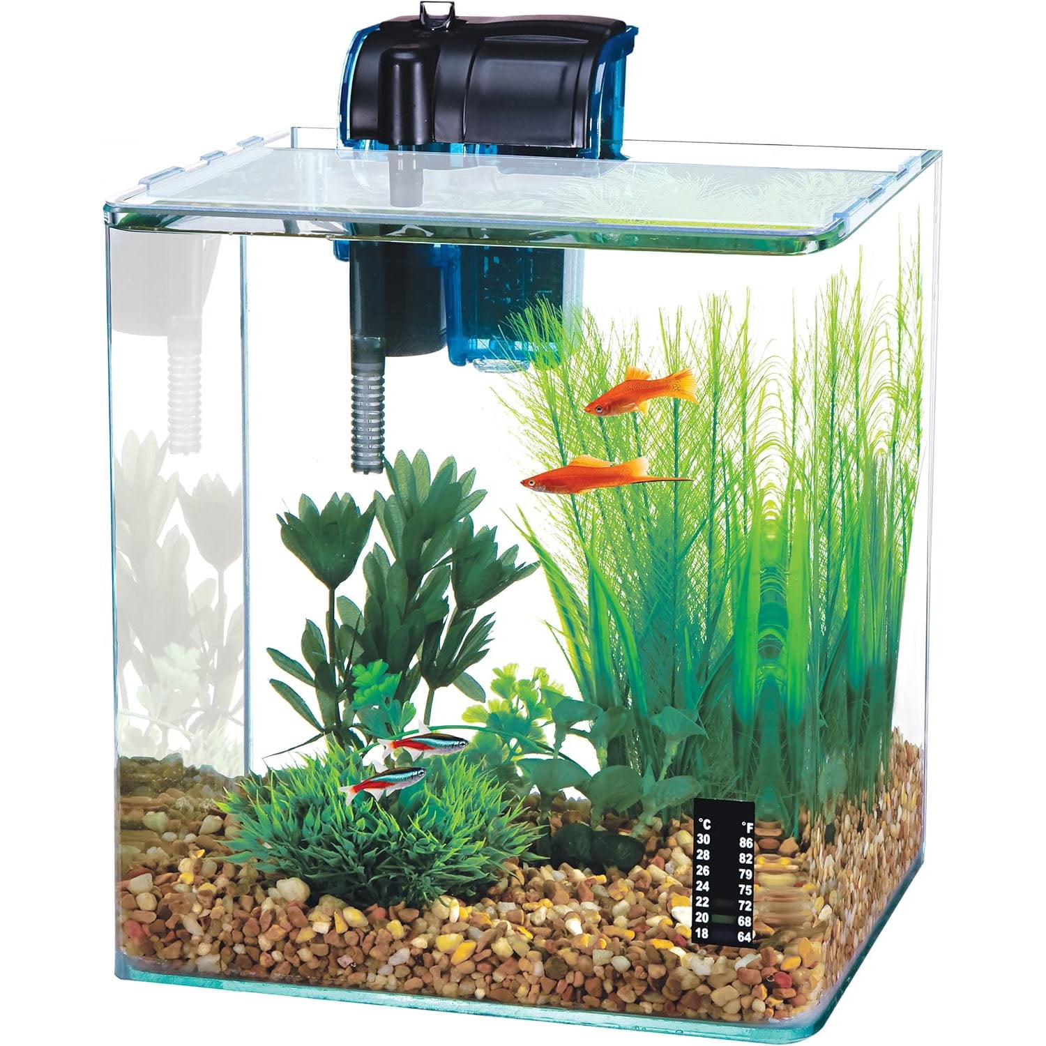 Penn-Plax Water-World Vertex Desktop Aquarium Kit - Perfect for Shrimp & Small Fish - 5 Gallon Tank