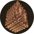 thumbnail image 1 of Ahgly Company Tapis d'Intérieur Lavables en Machine, Ronds, Transitionnels, Marron Selle, Ronds de 8', 1 of 7