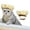 Or, variante sur Bonnet de Douche pour Animaux avec Sangle Ajustable - Ajustement Sécuritaire pour les Oreilles, Bain Facile, Toilettage pour Chiens et Chats