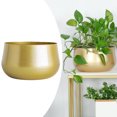 thumbnail image 2 of Brass Pots Indoor Cactus Plant Pot with Drainage Hole, 2 of 8