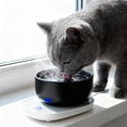 thumbnail image 2 of Hearth & Gear Food Heater White/Black Thermal Cat Food Insulated Food Bowl Temperature Feed Tray Intelligent USB Bowl Warm Food Dispenser For, 2 of 4