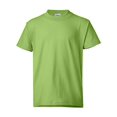 thumbnail image 1 of Hanes Garçon ComfortBlend EcoSmart Col Ras du Cou, L, Lime, 1 of 1