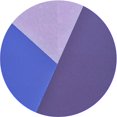 thumbnail image 1 of Ahgly Company Tapis de Zone Rond d'Intérieur Lavable à la Machine, Transitionnel, Violet Améthyste Violet, 5 Pieds Rond, 1 of 7