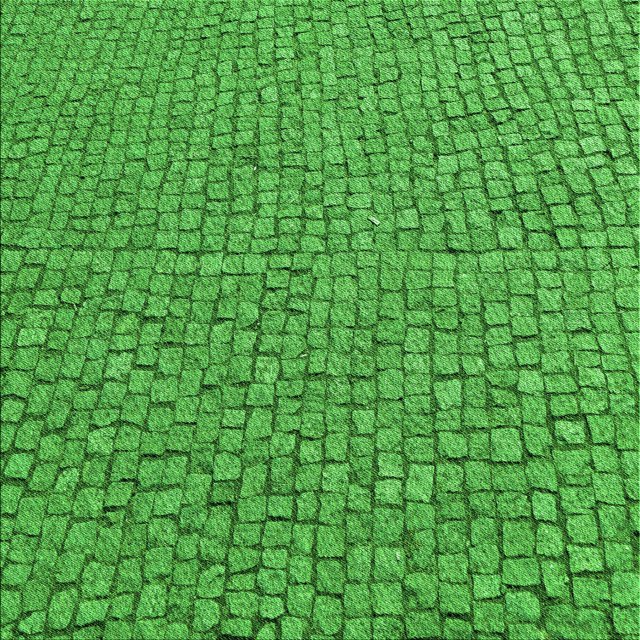 Ahgly Company Tapis d'Intérieur Lavable à la Machine, Carré, Transitionnel, Vert, Tapis de Zone, 6 Pieds Carré