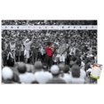 thumbnail image 4 of Tiger Woods - L'effet tigre, 4 of 5
