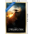 thumbnail image 3 of Dragons (2025) - Fiche d'information, 3 of 3