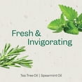 thumbnail image 3 of RENPURE Tea Tree & Mint Body Wash - Cleanses Invigorates & Refreshes Skin Without Over-Drying - For All Skin Types - Tea Tree Leaf Oil Spearmint Leaf Oil - 24 Fl Oz each 2 Pack, 3 of 6