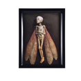thumbnail image 2 of Cursed Items Dead Shadow Box Display Handmade Creepy Mummified Corpse Art Ornament, 2 of 9