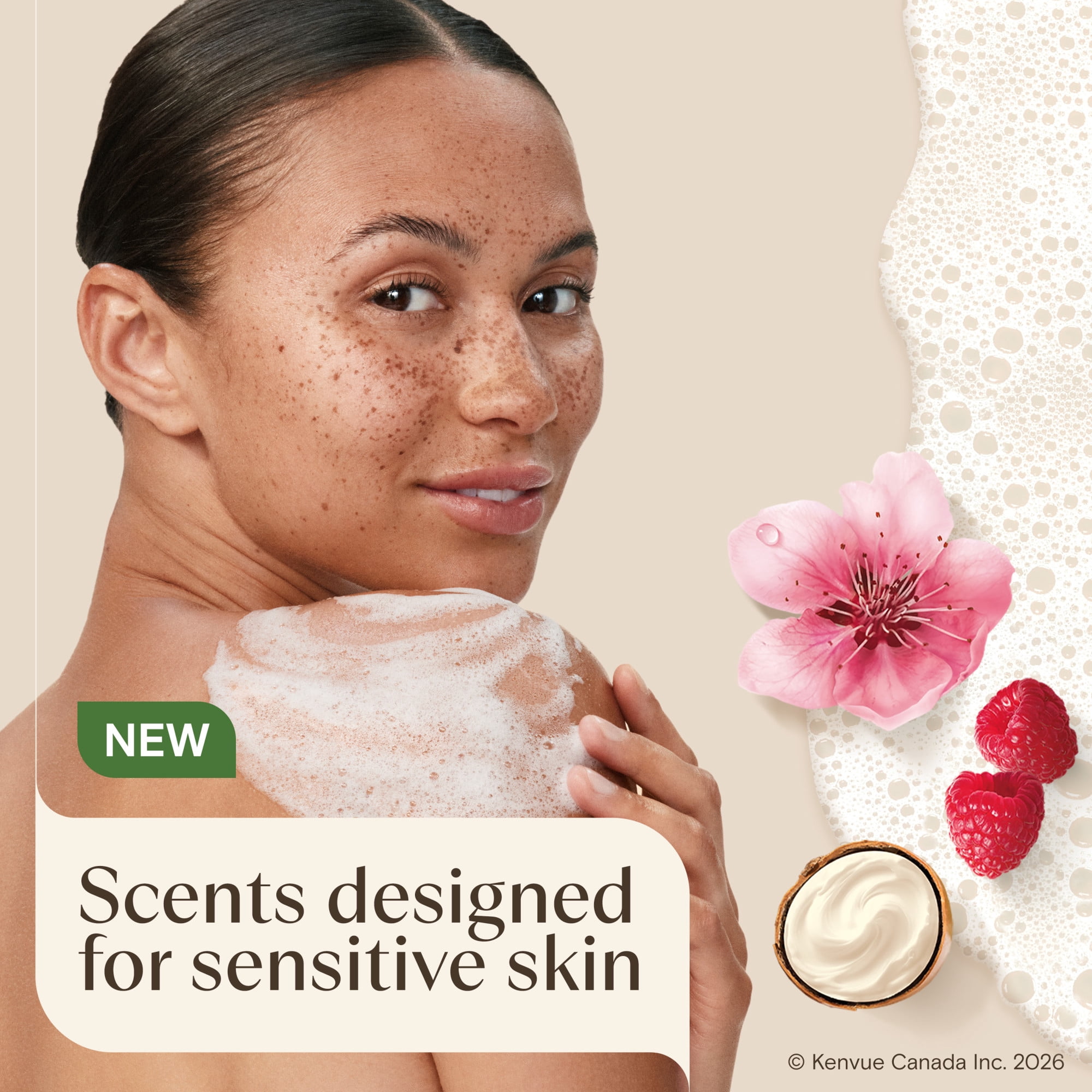 Aveeno Daily Moisturizing Body Wash Shea Butter Berry Scent & Soothing Prebiotic Oat, Provides Long-Lasting Hydration for Sensitive Skin, Hypoallergenic, Paraben-Free, 532 mL