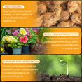 thumbnail image 4 of Organic Coco Coir 4 Pcs Compressed Coconut Coir Bricks Coconut Fiber Husk Substrate Mulch Coconut Bark Core Growing Medium Peat Mo, 4 of 6