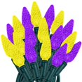 thumbnail image 1 of Novelty Lights 24FT 70 LED C6 LED Christmas Lights, Purple & Yellow, 1 of 8