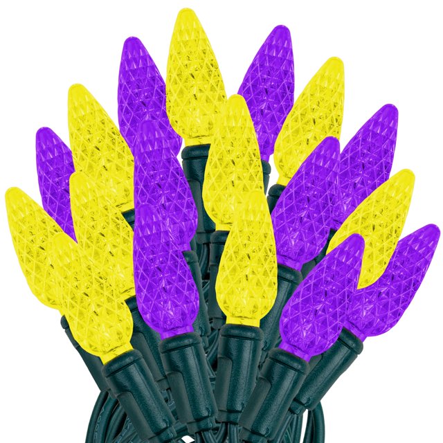 Novelty Lights 24FT 70 LED C6 LED Christmas Lights, Purple & Yellow