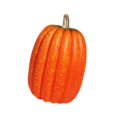 thumbnail image 2 of Lipstore Simulation Pumpkin Holiday Foam Pumpkin Halloween Decor Lifelike Mantel Tabletop Height 21cm, 2 of 8