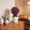 Pink, variant on Artificial Potted Plants Money Tree Grass Ball Bonsai Home Decor Floral Ornaments Creatives Mini Round Ball Devise Suitable For Indoor Tabletop Decoration