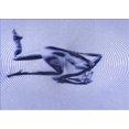 thumbnail image 1 of Ahgly Company Machine Washable Indoor Rectangle Transitional Heavenly Blue Area Rugs, 6' x 9', 1 of 7