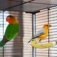 thumbnail image 2 of Yhmxh Birds Standing Rod Cage Claw Sharpening Rod Home and Kitchen kitchen Accessories kitchen Essentials, 2 of 5