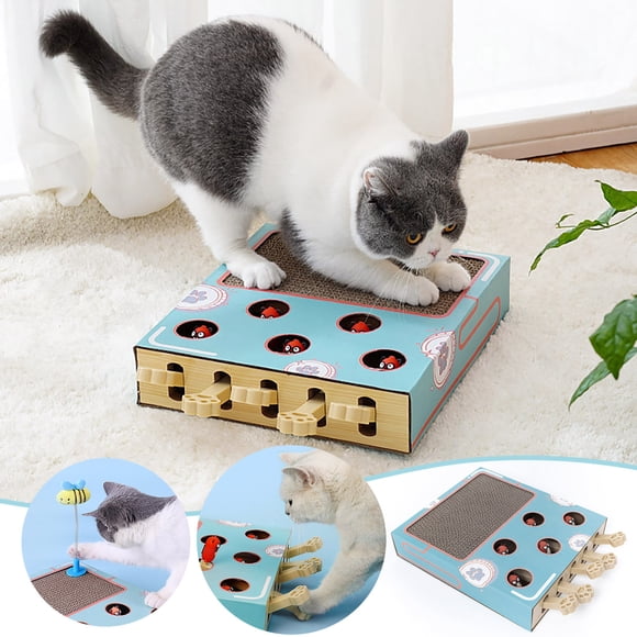 Birdeem Cat Enrichment Toy, 5 in 1 Cat Toy Box with Whack A Mole Cat Toy,Cat Spring Toy, Cat Scratching Board & Cat Ball Toy for Indoor Cats, Cat Interactive Toy for Physical Exercise & Entertained