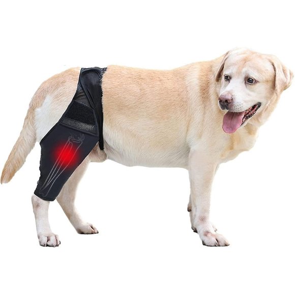Attelle de Genou pour Chien, Attelle de Jambe pour Chien, Attelle de Soutien pour Hanche pour Blessures Ligamentaires Cruciales, Ccl, Dislocation de la Rotule Ou Ostéoarthrite