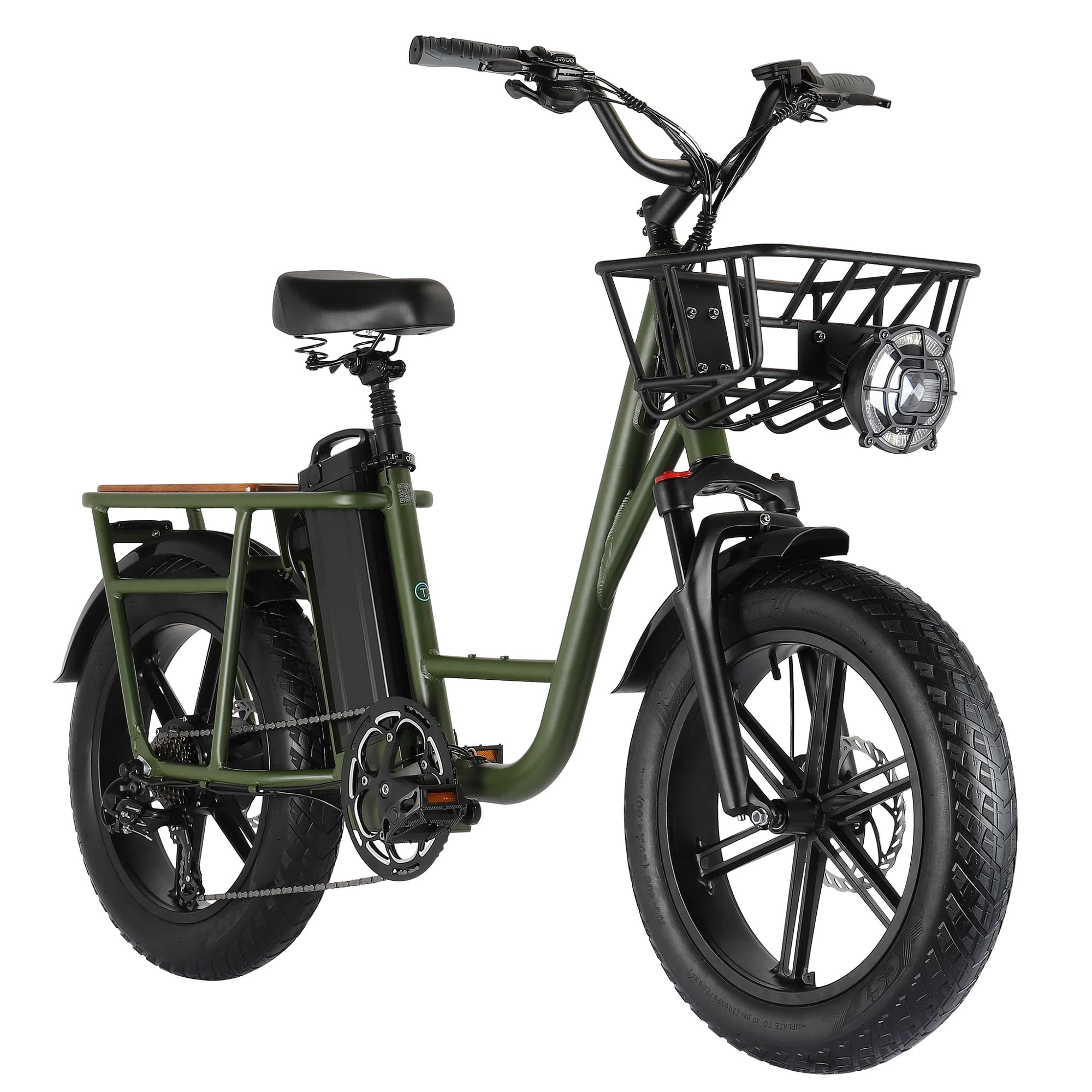 Fiido T1 Utility Electric Bike, 750W Motor, 7-Speed Cargo E-Bike, 20" Fat Tires, 200kg Capacity, Green