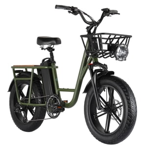 Fiido T1 Utility Electric Bike, 750W Motor, 7-Speed Cargo E-Bike, 20" Fat Tires, 200kg Capacity, Green
