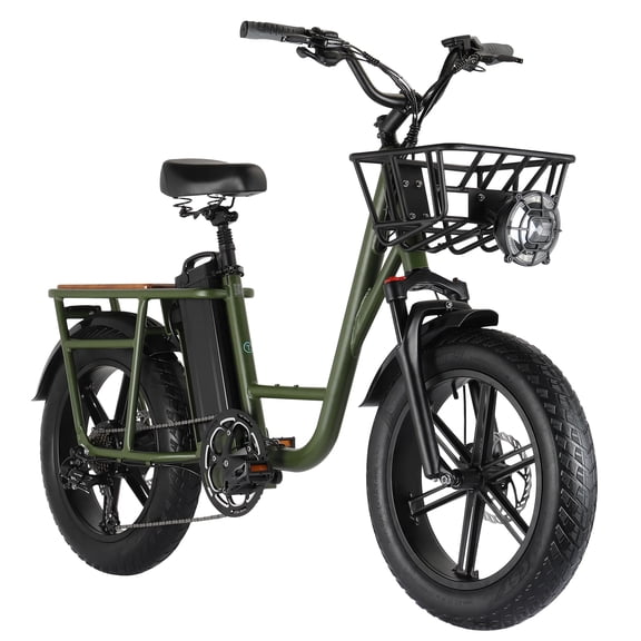 Fiido T1 Vélo Électrique Utilitaire, Moteur 750W, Vélo Cargo Électrique 7 Vitesses, Pneus Larges 20 Pouces, Capacité 200kg, Vert