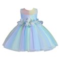 thumbnail image 1 of Dresses for Teens Spring Summer Print Ruffle Sleeveless Princess Party Decorations Flower Girl Dress Blue 6-12 Months, 1 of 4
