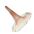 thumbnail image 1 of Appât de Filet de Lancer de Pêche Facile à Lancer à la Main, Maille de Piège de Lancer Robuste B 4,2 m Sans Anneau, 1 of 9