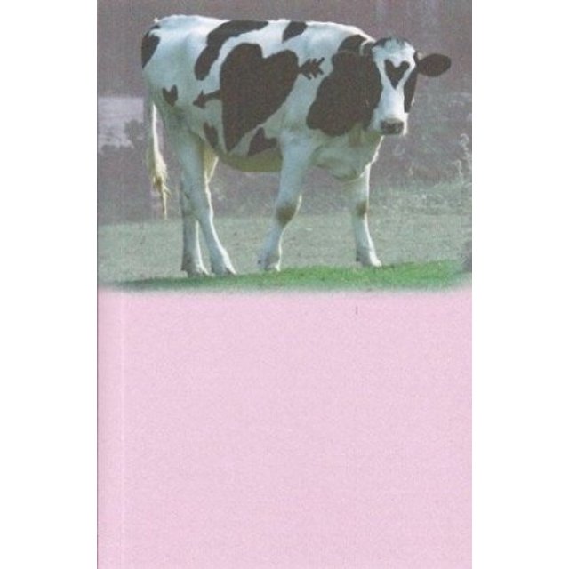 Greeting Card Valentine's Day Humor"Got Love?" Happy Valentine's Day